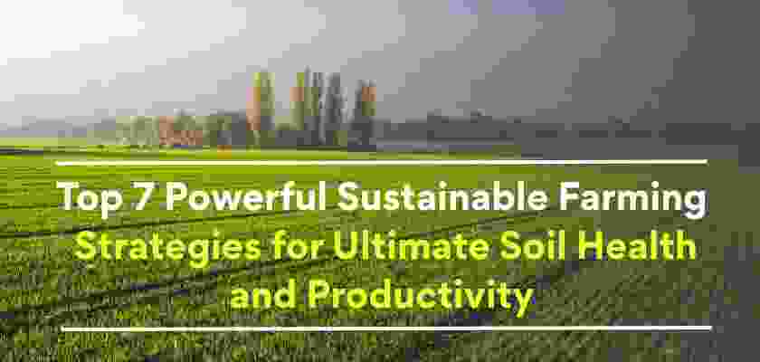 sustainable farming