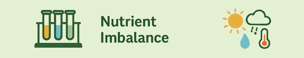 Nutrient Imbalance in Soil