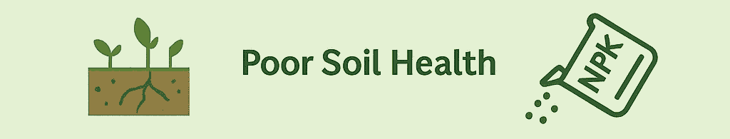 poor soilhealth
