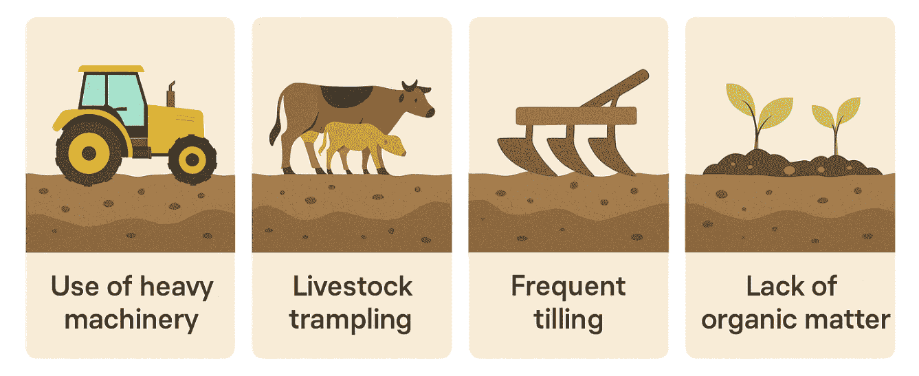 Reasons of soil compaction