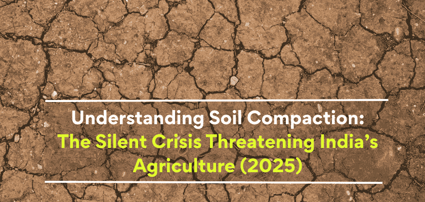 Soil Compaction
